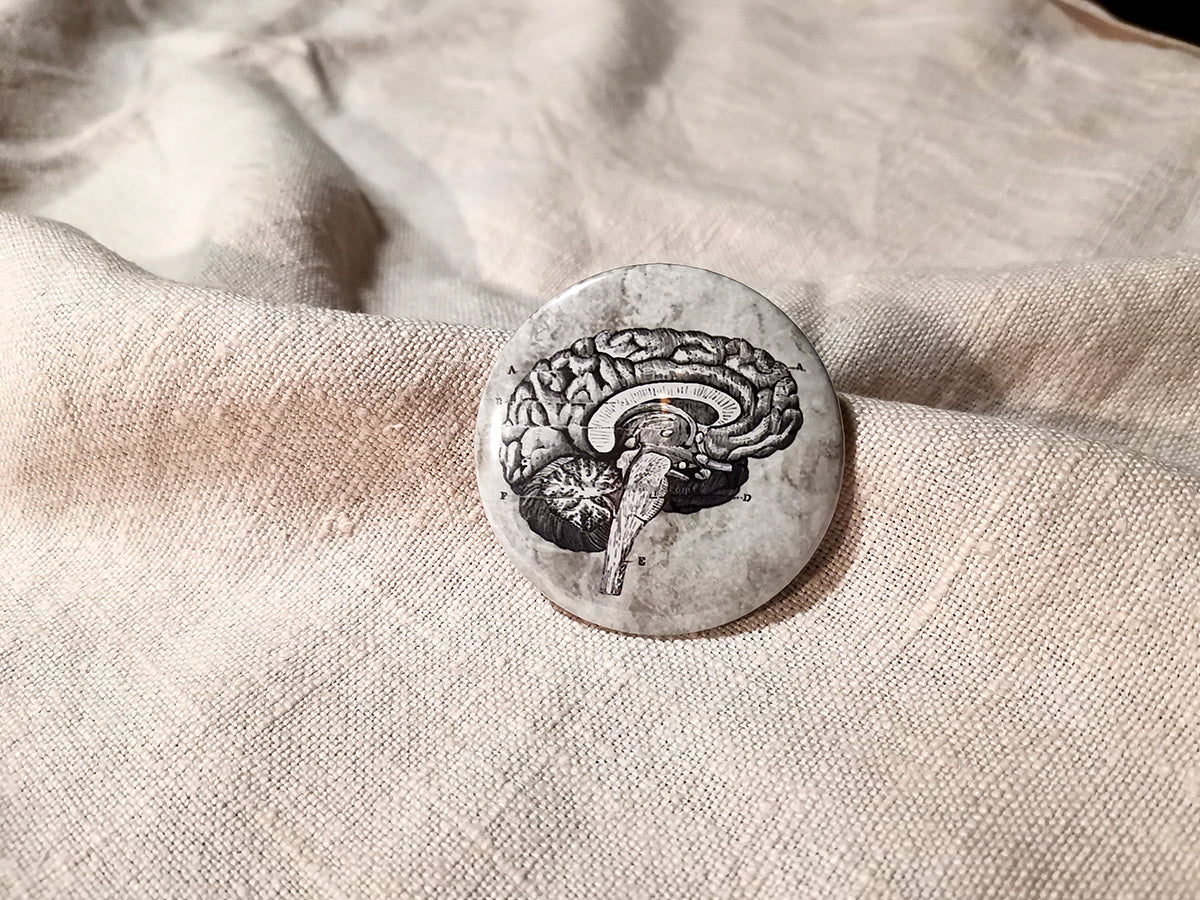 Przypinka anatomiczna mózg