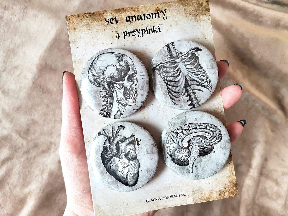 Zestaw przypinek anatomia