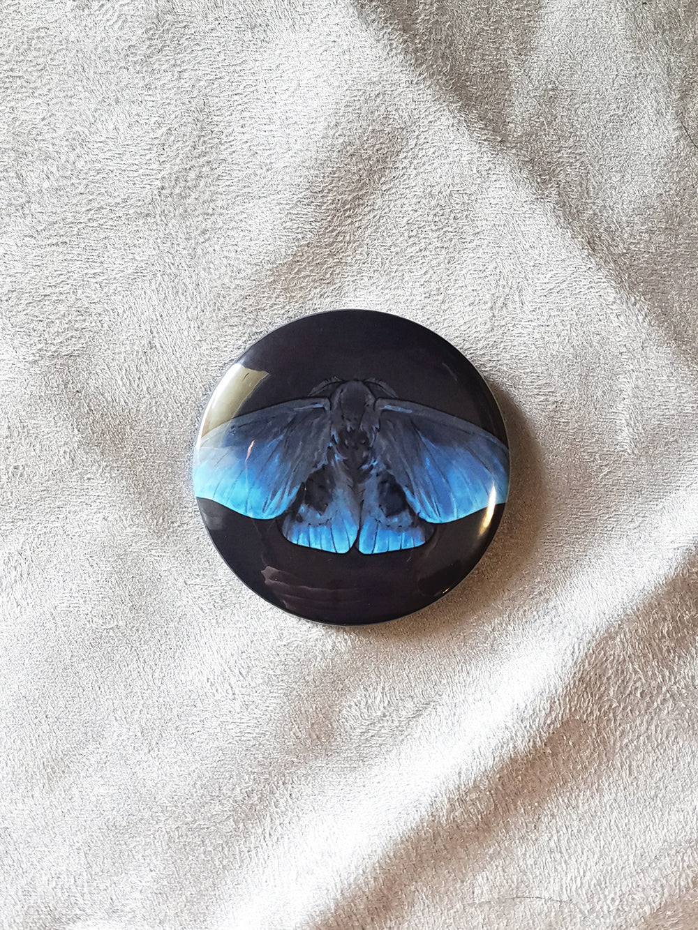 Przypinka z ćmą Automeris styx