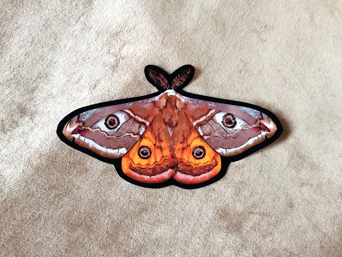 Naklejka ćma Saturnia pavonia