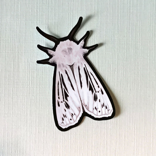 Naklejka ćma Spilosoma lubricipeda