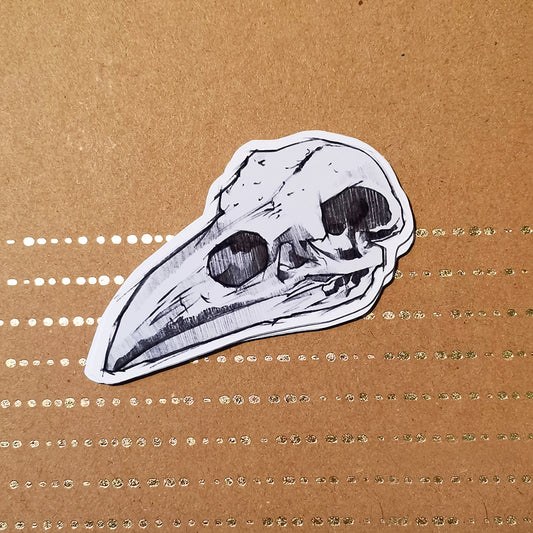 Naklejka czaszka ptaka